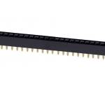 40-pin-female-header
