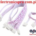 2.54mm-Pitch-Female-to-Female-JST-XH-Connector-Cable-Wire-30cm-1024x756